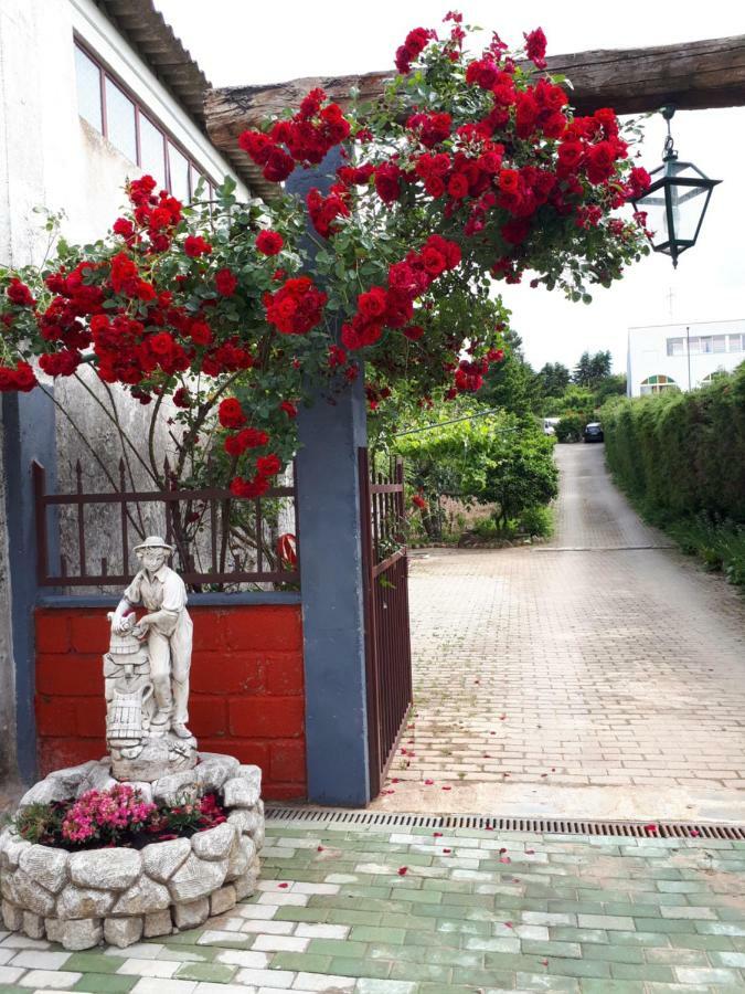 Villa Quintinha Dos Cedros Alfândega da Fé Exterior foto